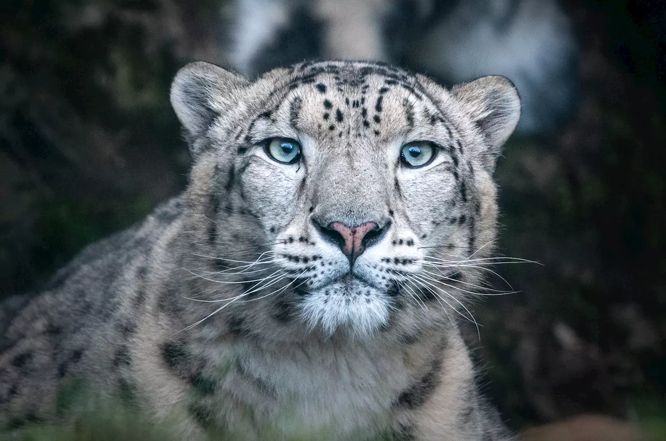 Ústí nad Labem Zoo