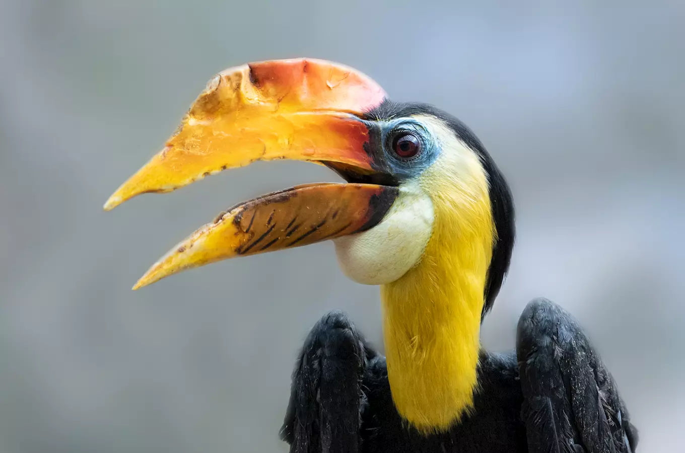 Ústí nad Labem Zoo 