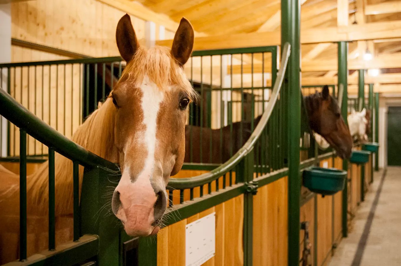 Waterman Sláma's mill