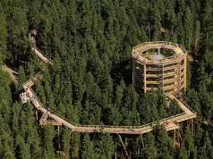 שביל עצי ליפנו: הרפתקאות טבע בדרום בוהמיה Lipno Treetop Trail: Nature Adventure in South Bohemia