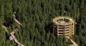Lipno Treetop Trail: Nature Adventure in South Bohemia Lipno Treetop Trail: Nature Adventure in South Bohemia
