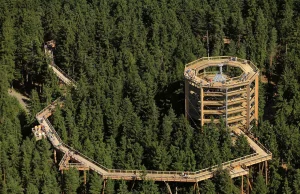 리프노 트리탑 트레일: 남부 보헤미아의 자연 모험 Lipno Treetop Trail: Nature Adventure in South Bohemia