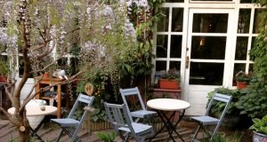 쿠크라나 알키미스타 알키미스타-프라그-카페