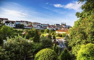 陶西格咖啡馆 garden café taussig-prague-cafe