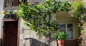 카바나 노비 스베트 카바나 노비 스베트(새로운 세계 카페)-프라하 카페