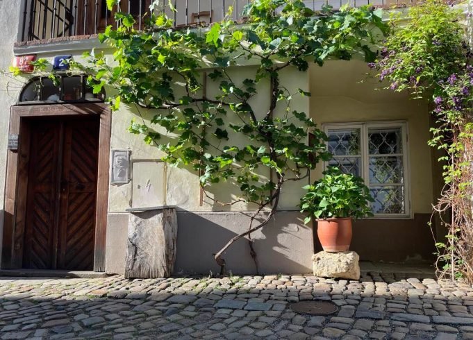 kavárna nový svět (new world café)-prague-cafe