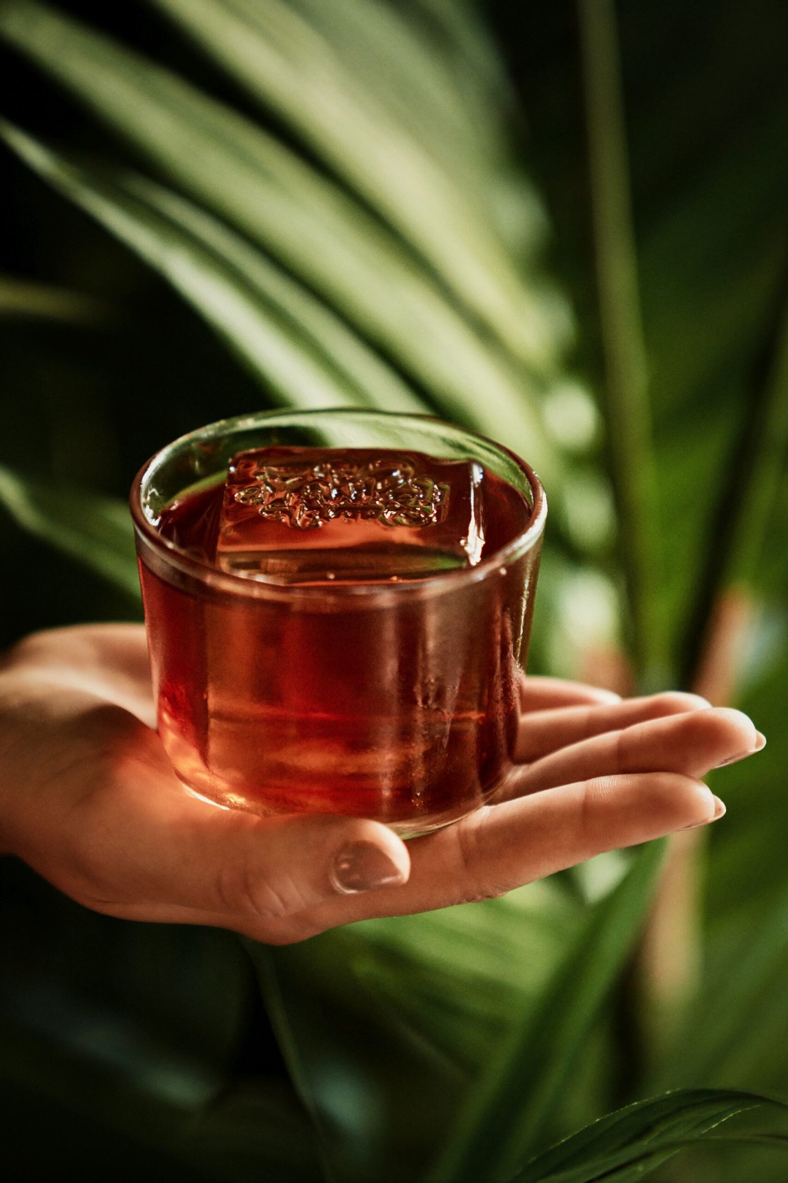 the monkey bar-prague-bars