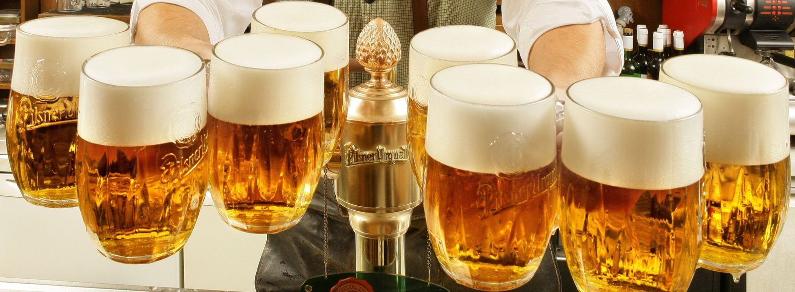 U Pinkasů Restaurant in Prague