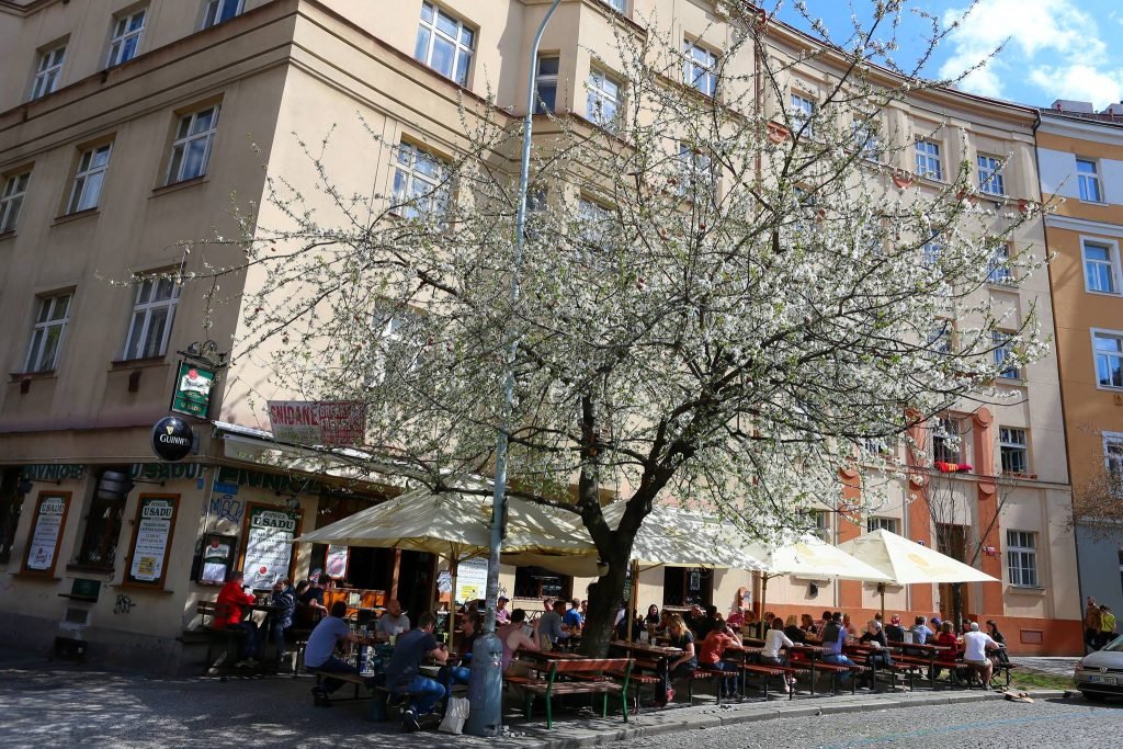 A Prague beer hall