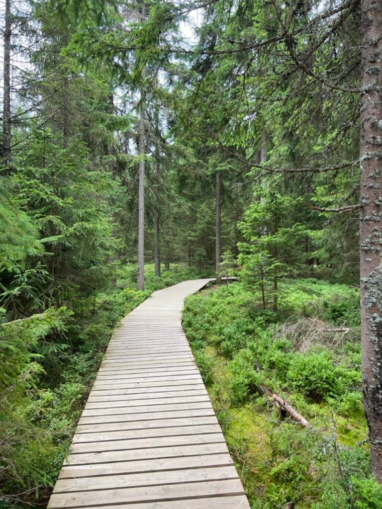 Kladská Nature Reserve: