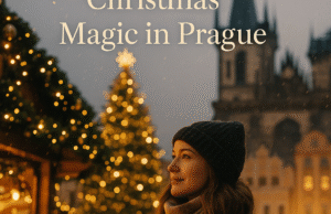 Prague’s Christmas Tree: From Forest to Old Town Square Prague’s Christmas Tree: From Forest to Old Town Square