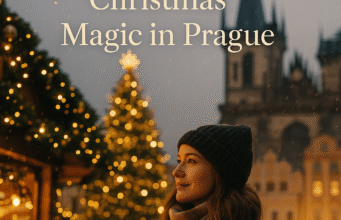 Prague’s Christmas Tree: From Forest to Old Town Square