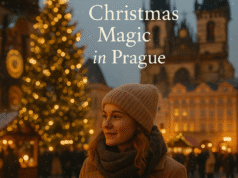 Where to Enjoy Live Carols and Choir Performances in December