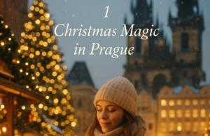 Cultural Events You Shouldn’t Miss Before Christmas Ends