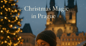 Cozy Wine Bars to Escape the Cold Cozy Wine Bars to Escape the Cold