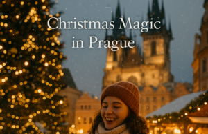 The Story Behind Prague’s Giant Tree