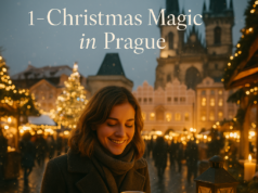 Magical Rides, Lights, and Ice Rinks