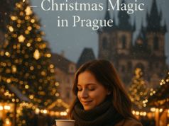 Lunch with Czech Street Delicacies