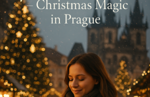 Lunch with Czech Street Delicacies