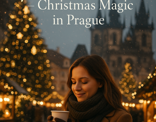 Lunch with Czech Street Delicacies