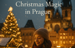 Cafés Locals Visit During Winter Nights