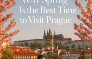 Why Spring Is the Best Time to Visit Prague