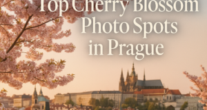 Top Cherry Blossom Photo Spots in Prague