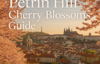 Petřín Hill Cherry Blossoms Guide