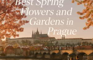 Best Spring Flowers and Gardens in Prague