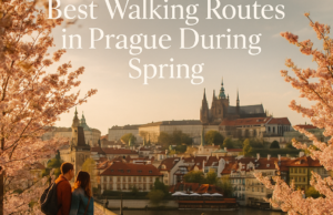 Best Walking Routes in Prague During Spring
