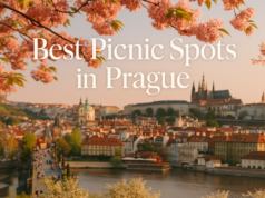 Best Picnic Spots in Prague Best Picnic Spots in Prague