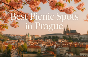 Best Picnic Spots in Prague