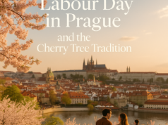 Labour Day in Prague and the Cherry Tree Tradition
