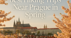 Best Hiking Trips Near Prague in Spring