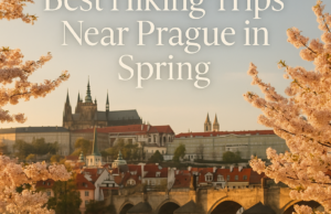 Best Hiking Trips Near Prague in Spring Best Hiking Trips Near Prague in Spring