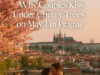 Why Couples Kiss Under Cherry Trees on May 1 in Prague