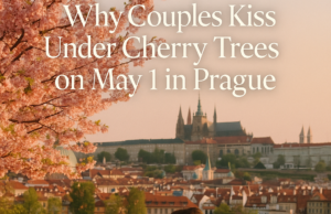 Why Couples Kiss Under Cherry Trees on May 1 in Prague