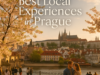 Best Local Experiences in Prague