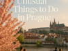 Unusual Things to Do in Prague Unusual Things to Do in Prague