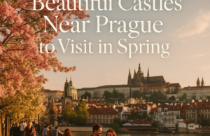 Beautiful Castles Near Prague to Visit in Spring