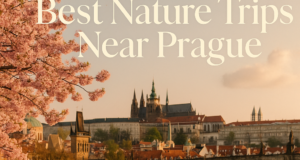 Best Nature Trips Near Prague