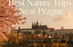 Best Nature Trips Near Prague Best Nature Trips Near Prague